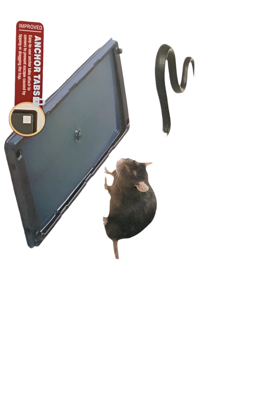 Catchmaster Rat Trap
