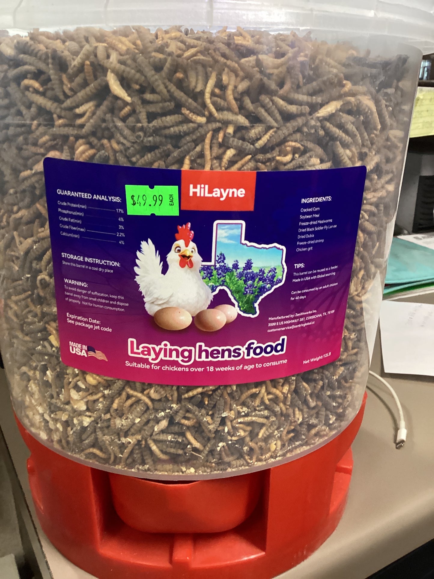 Laying Hen Bucket
