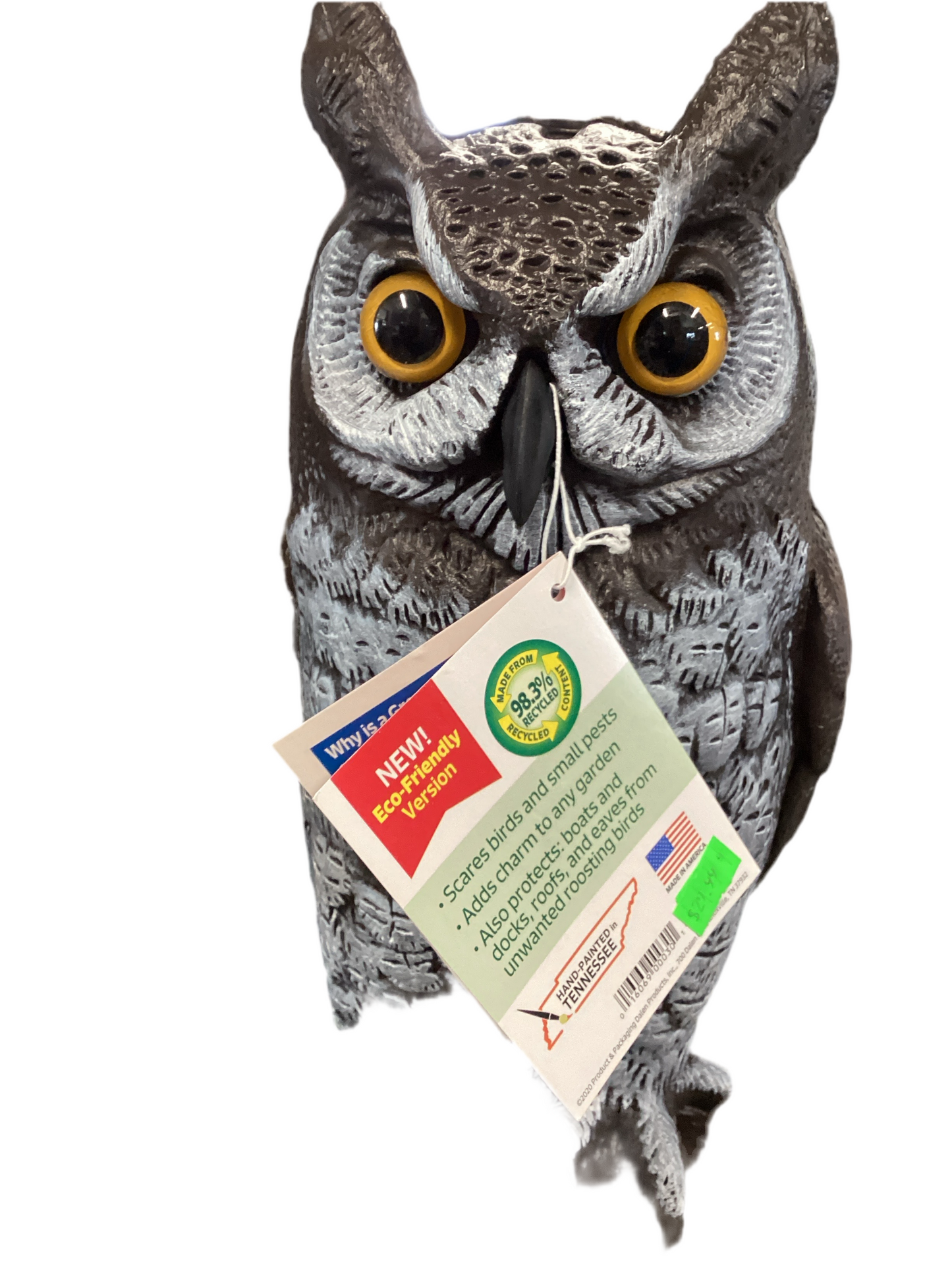 Owl