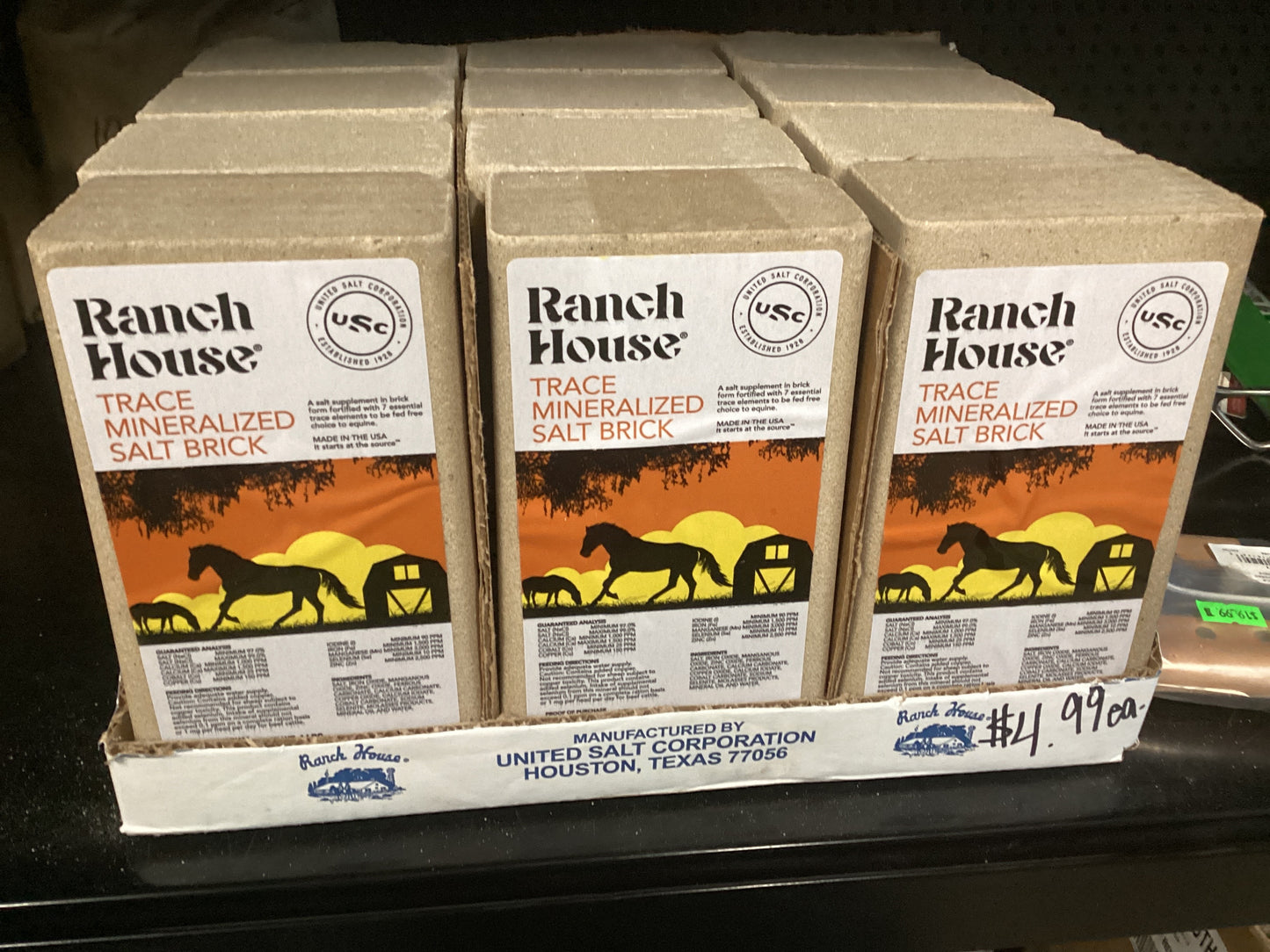 Trace Mineral Salt Brick