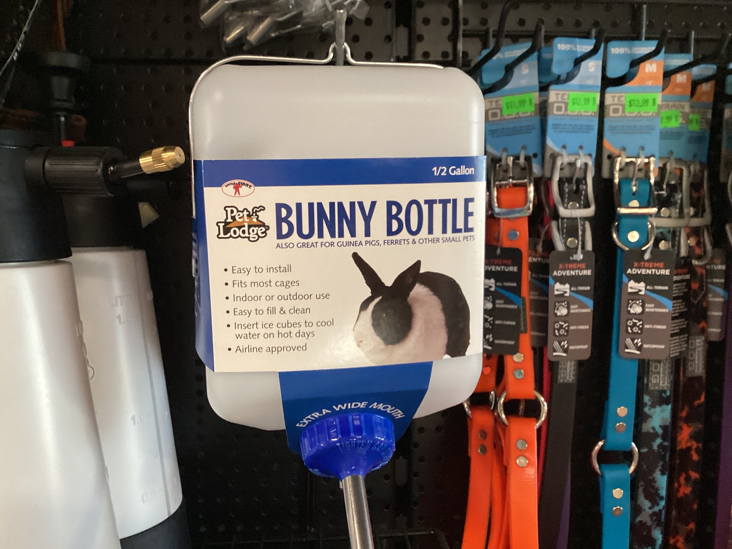Pet Lodge Bunny Bottle