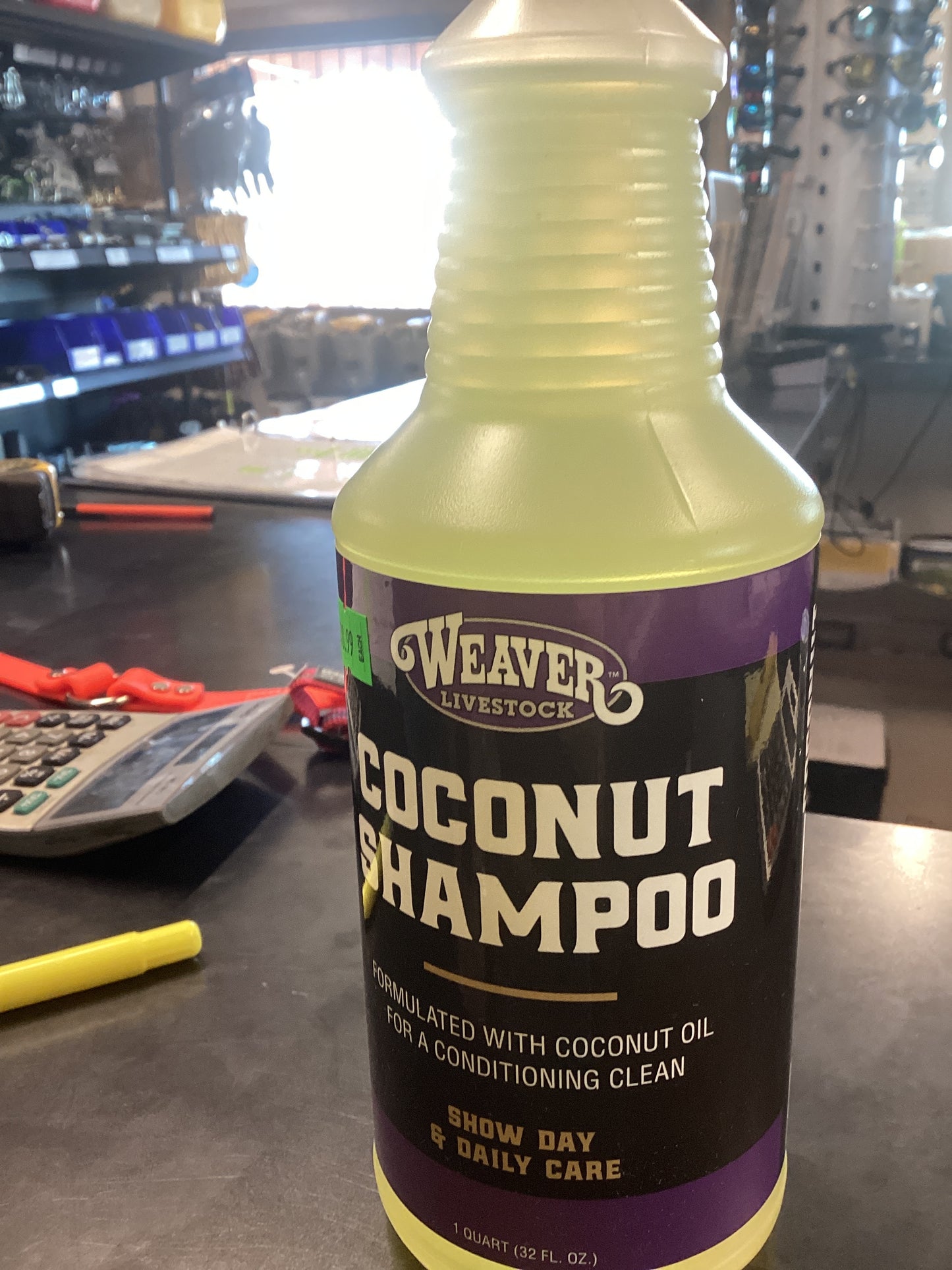 Coconut Shampoo