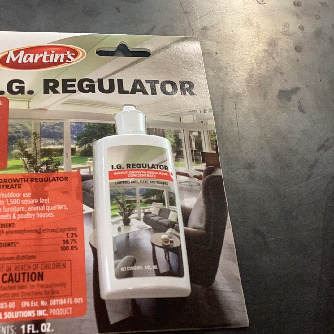 I.G. Regulator