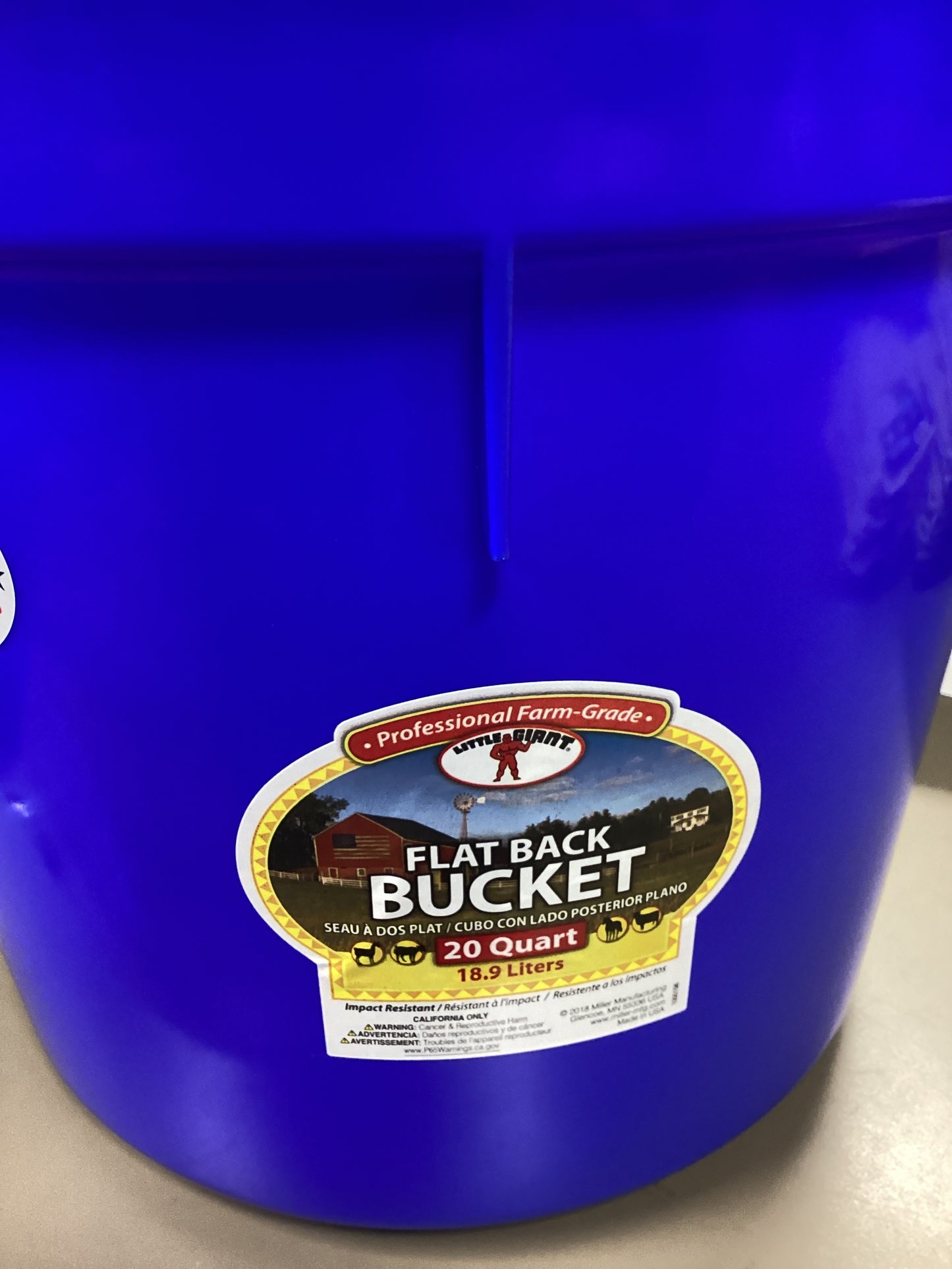 Blue Bucket