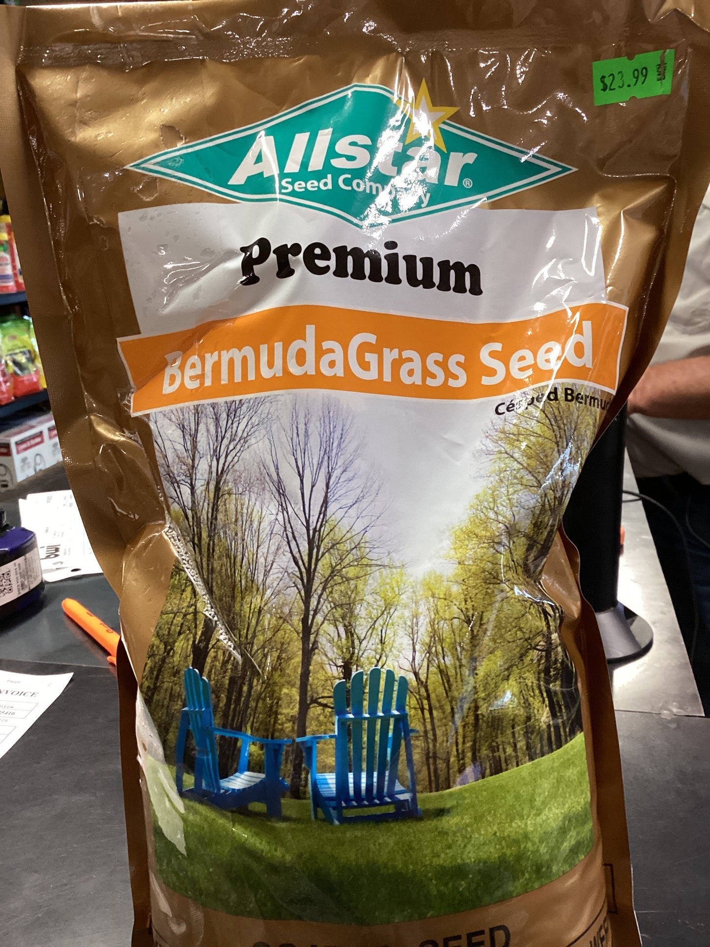 All star Premium Bermuda Grass 3lb