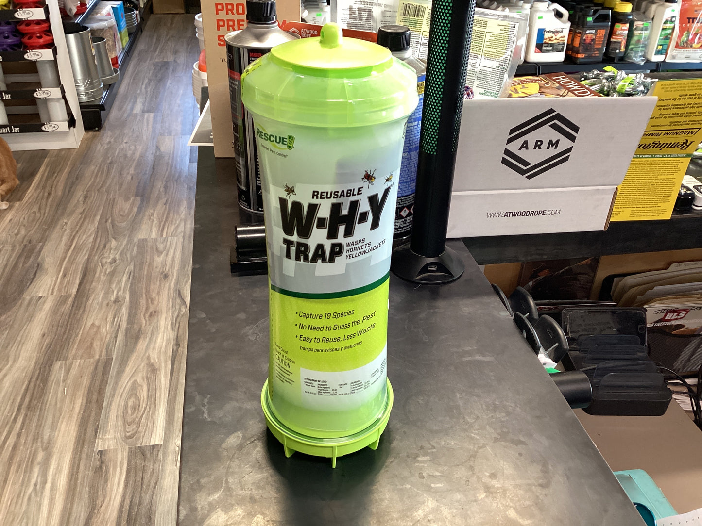WHY Trap