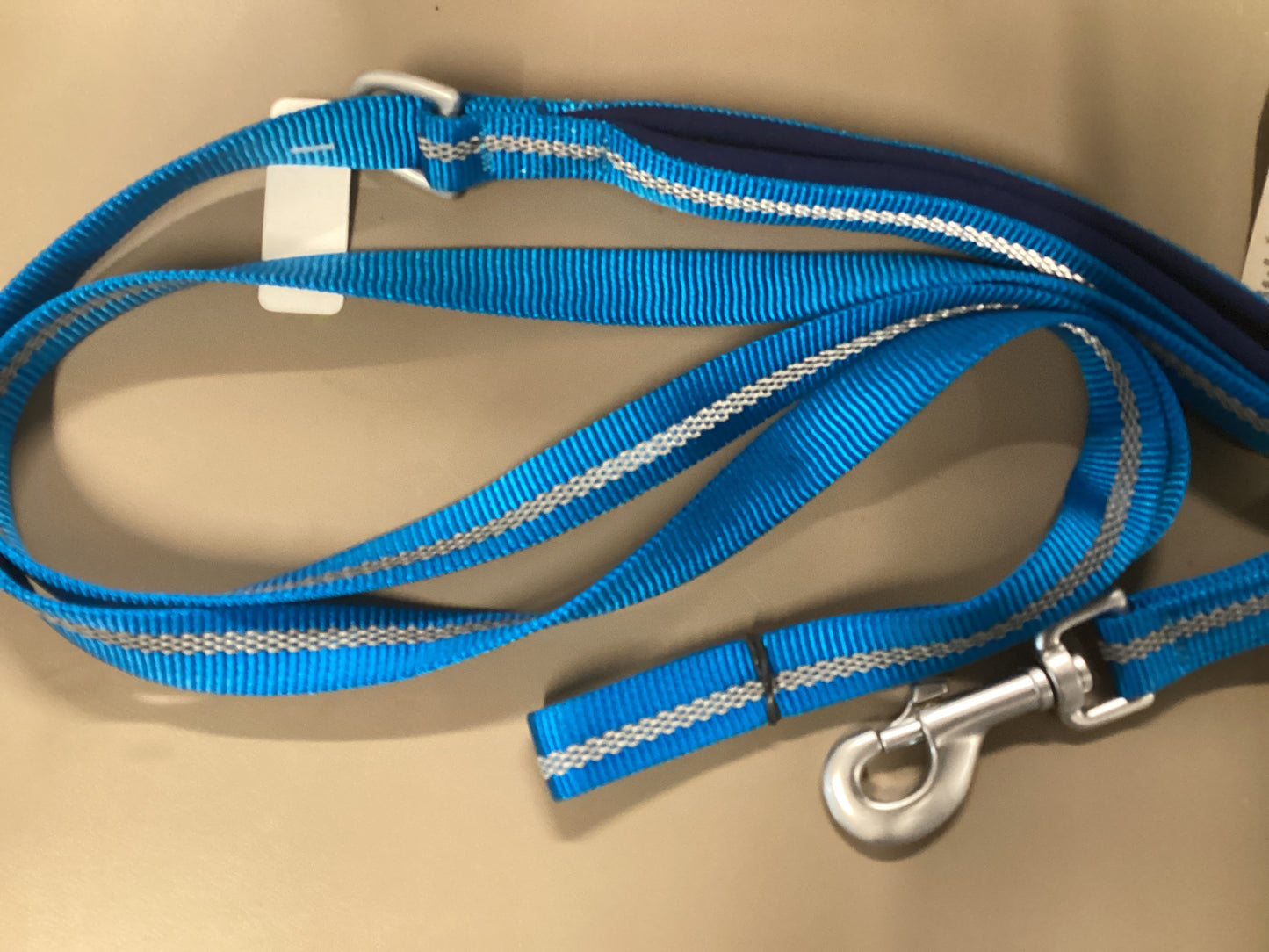 Lined Leash Blue