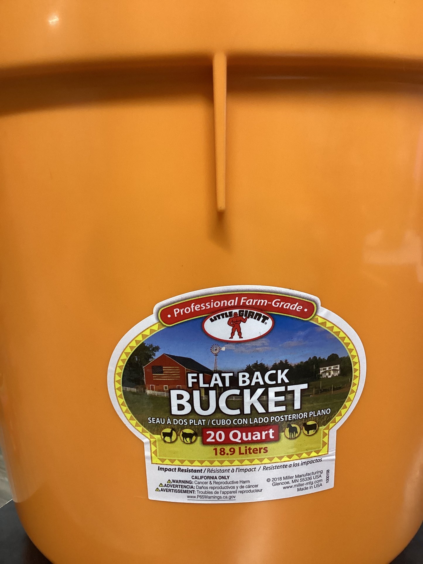 Flat Back Orange