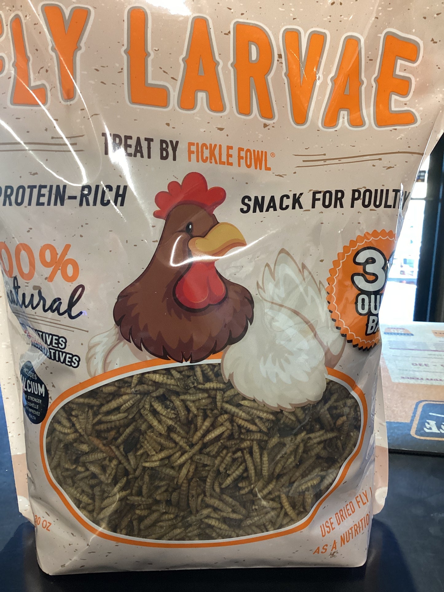 Fly Larvae