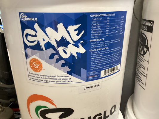 Game On 20#