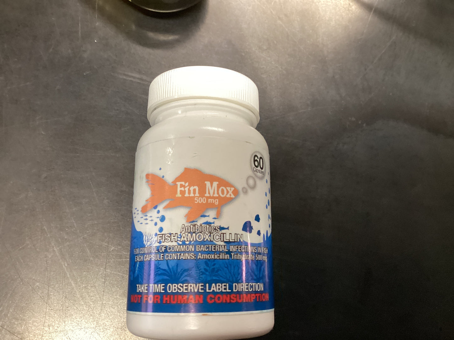 Fin Max Amoxicillin