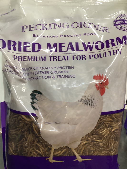 Dried Mealworms