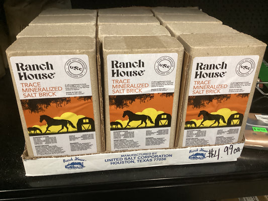 Trace Mineral Salt Brick
