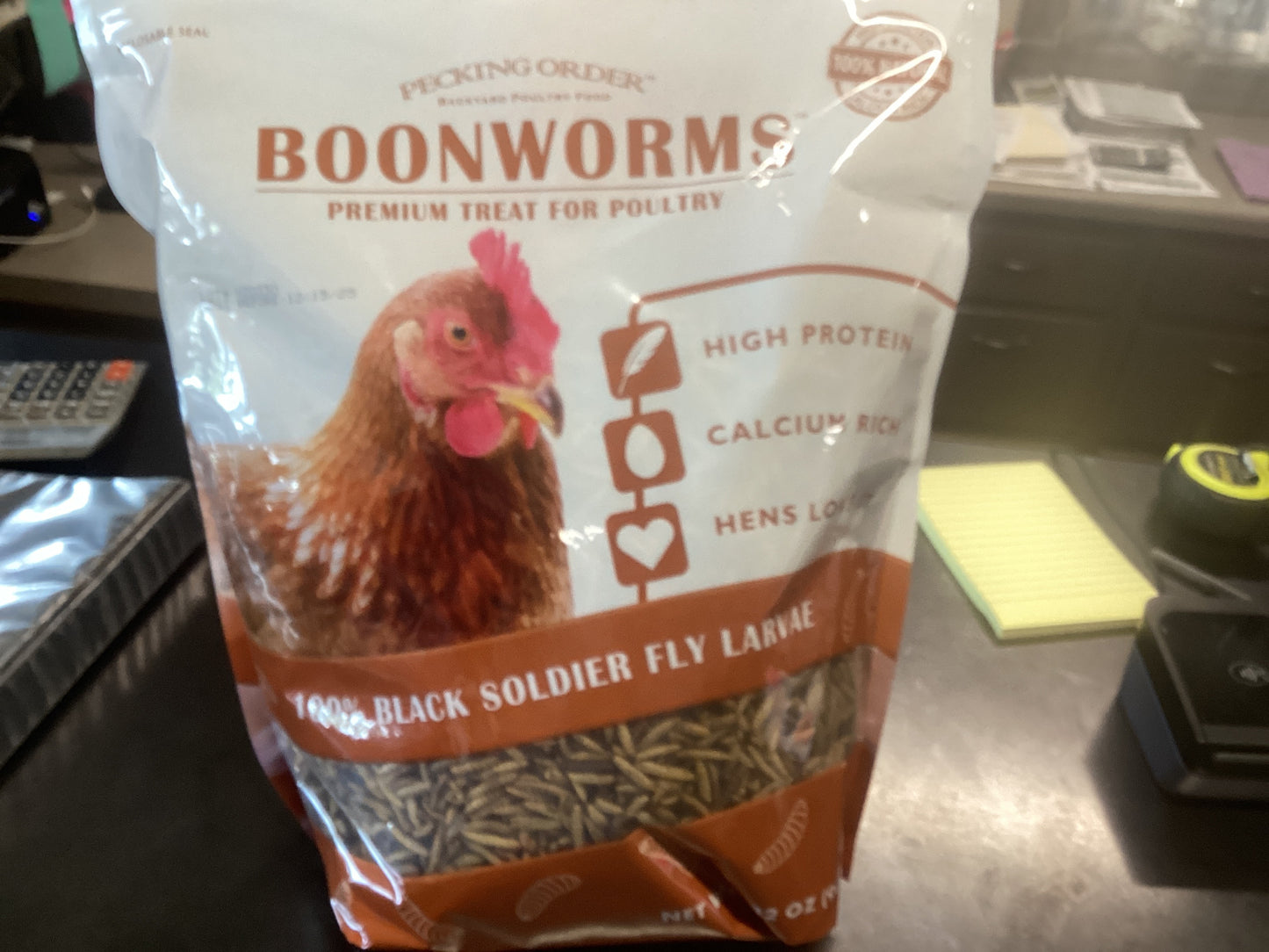 Bookworms 100% black soldier fly larvae