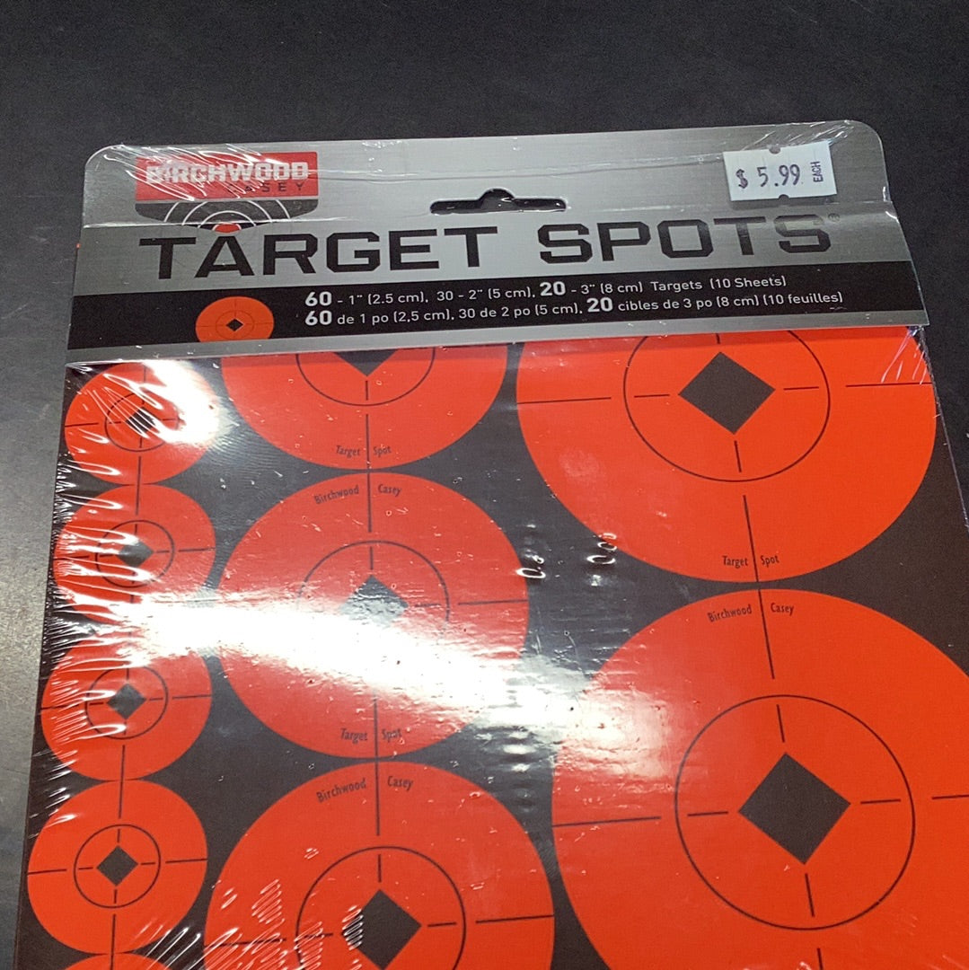 Birch wood Target Spots