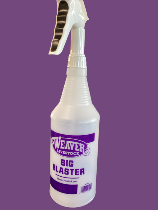 Big Blaster Spray Bottle