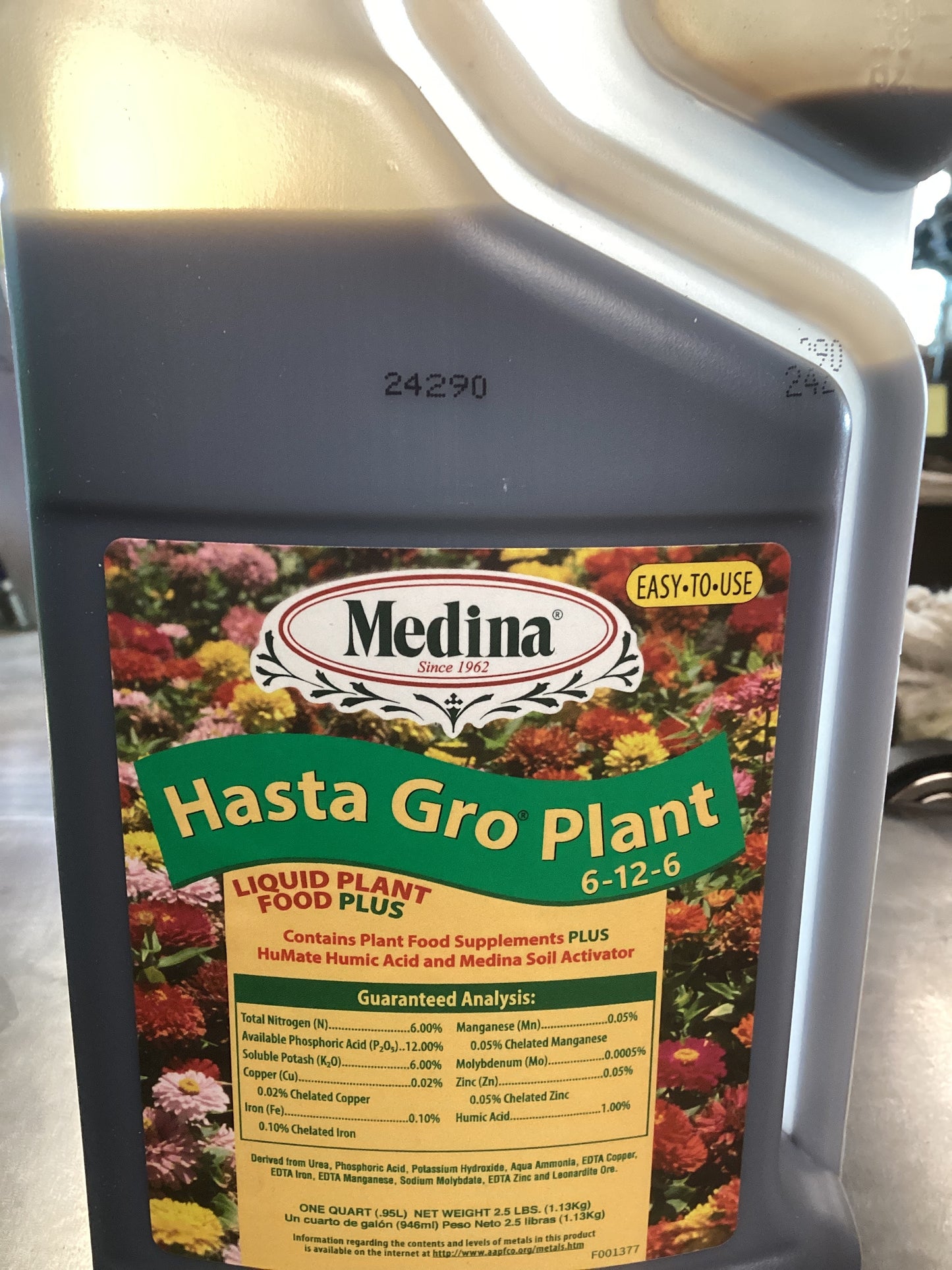 Medina Hasta Gro Plant