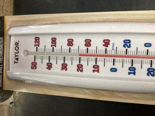 Taylor Thermometer