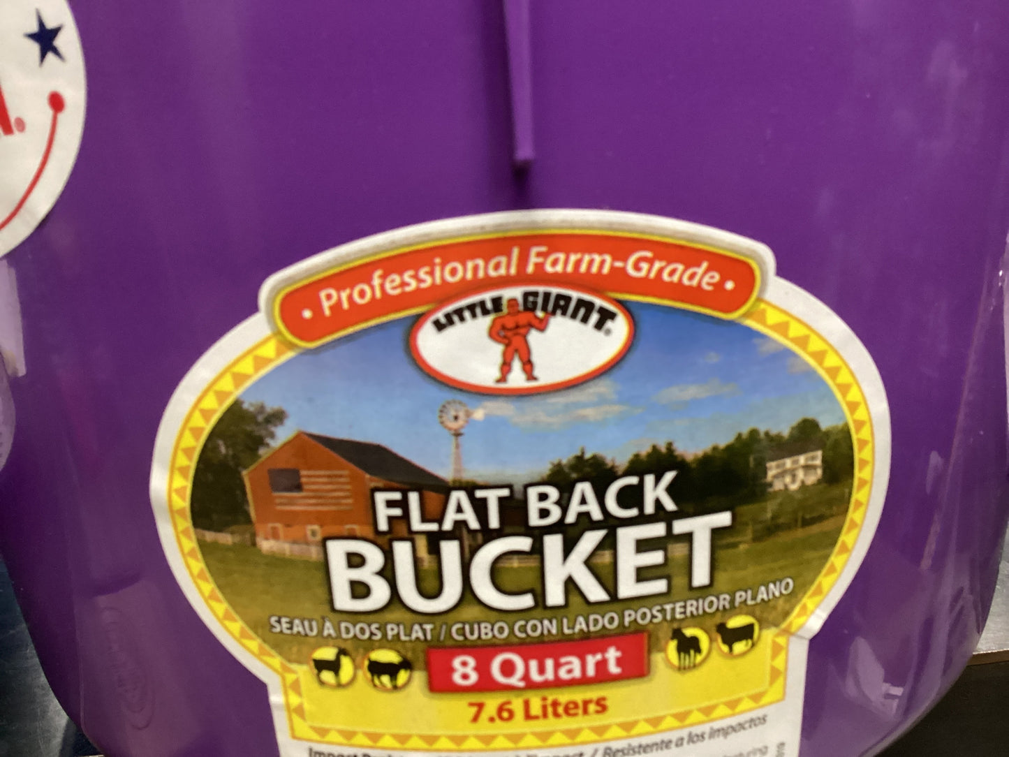Purple Flat Back