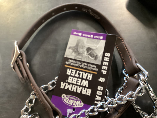 Brahma Webb Halter