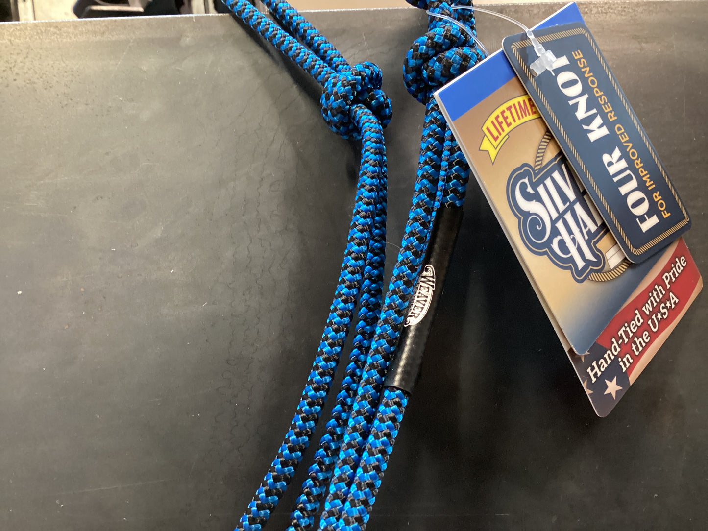 Silver tip Halter Blue
