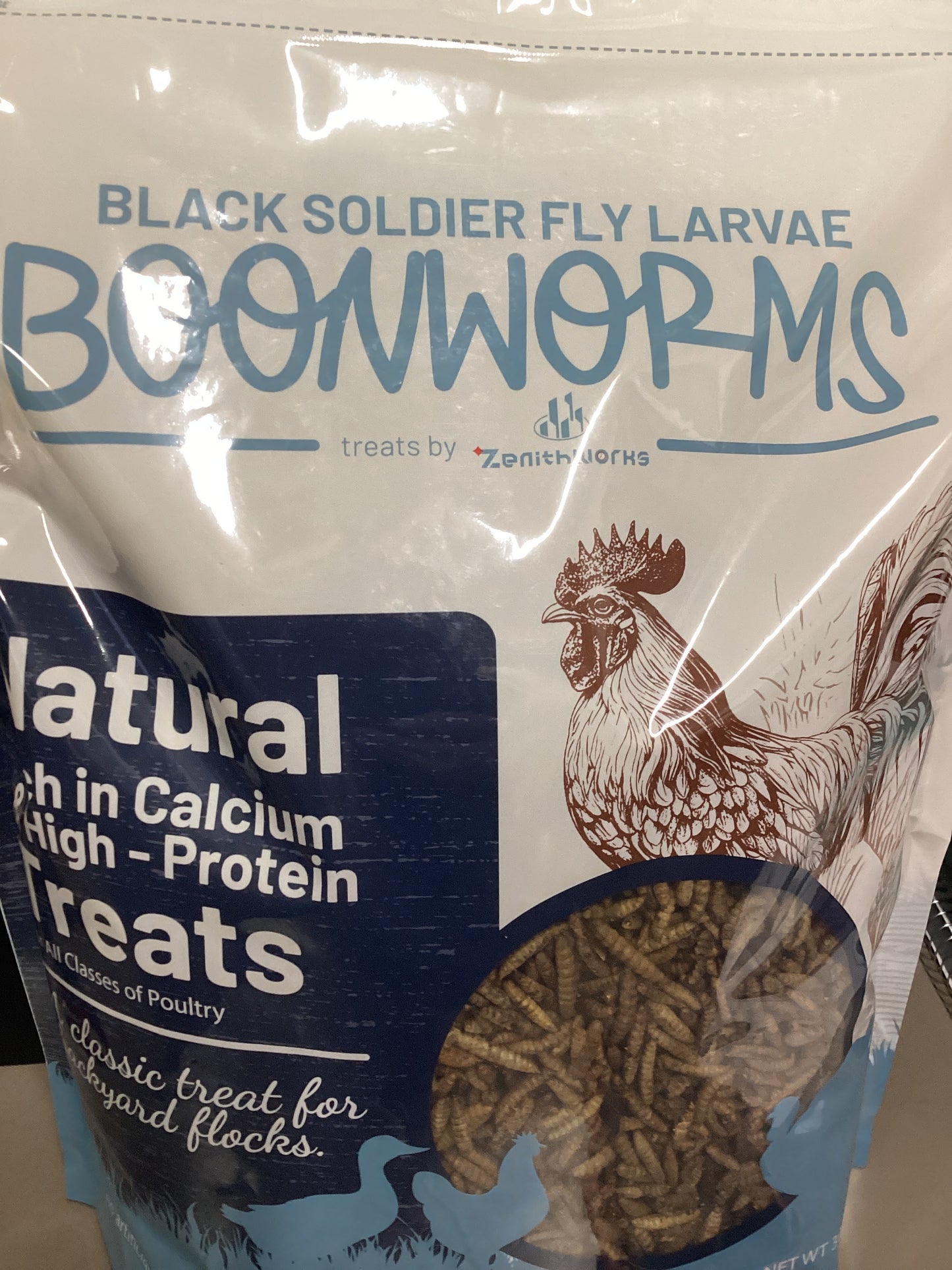 Black Soldier Fly Larvae
