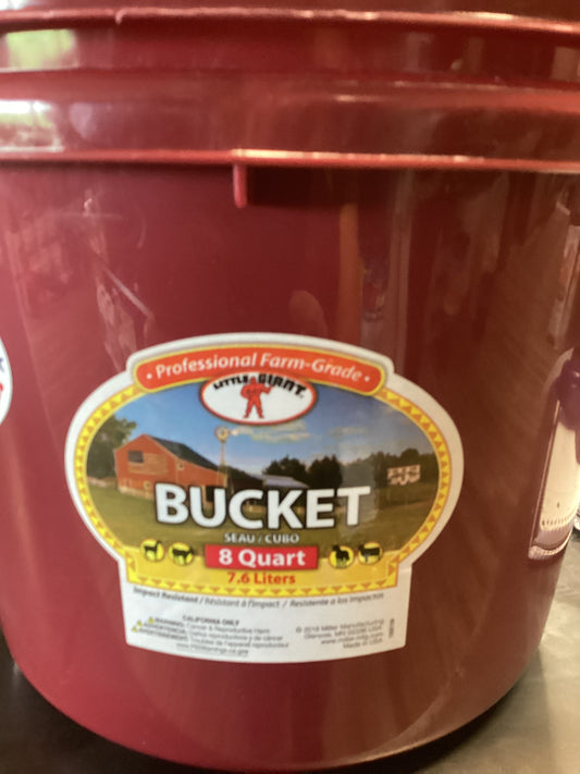 Bucket Maroon
