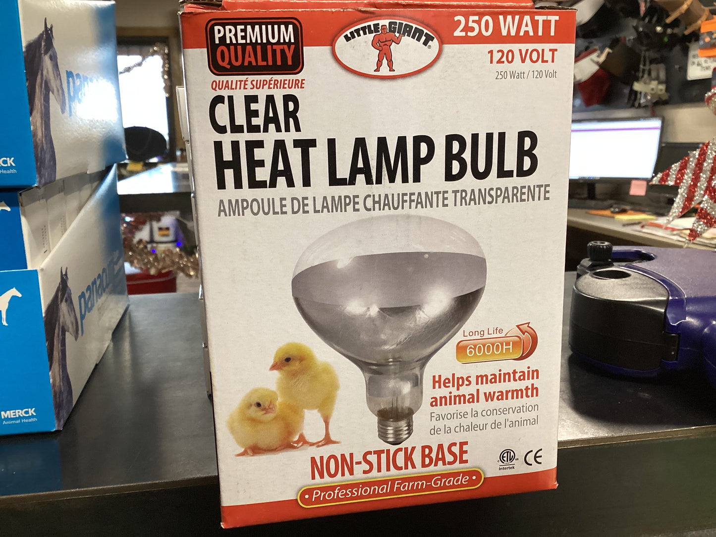 LITTLE GIANT Clear Heat Lamp Bulb