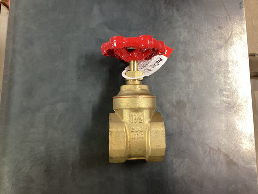 1 1/2” Gate Valve