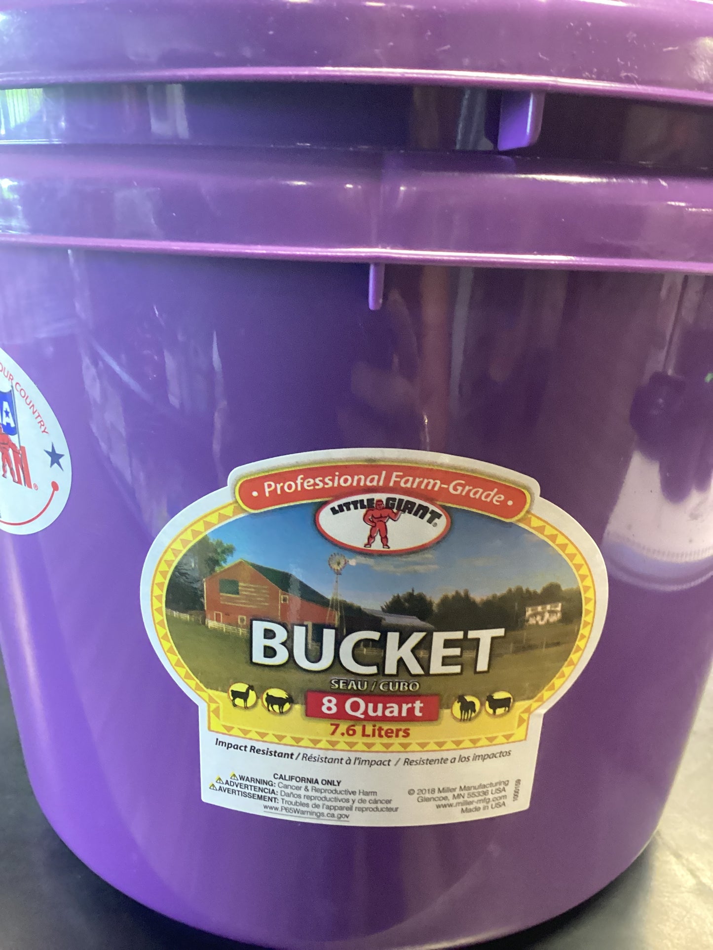 Bucket Purple